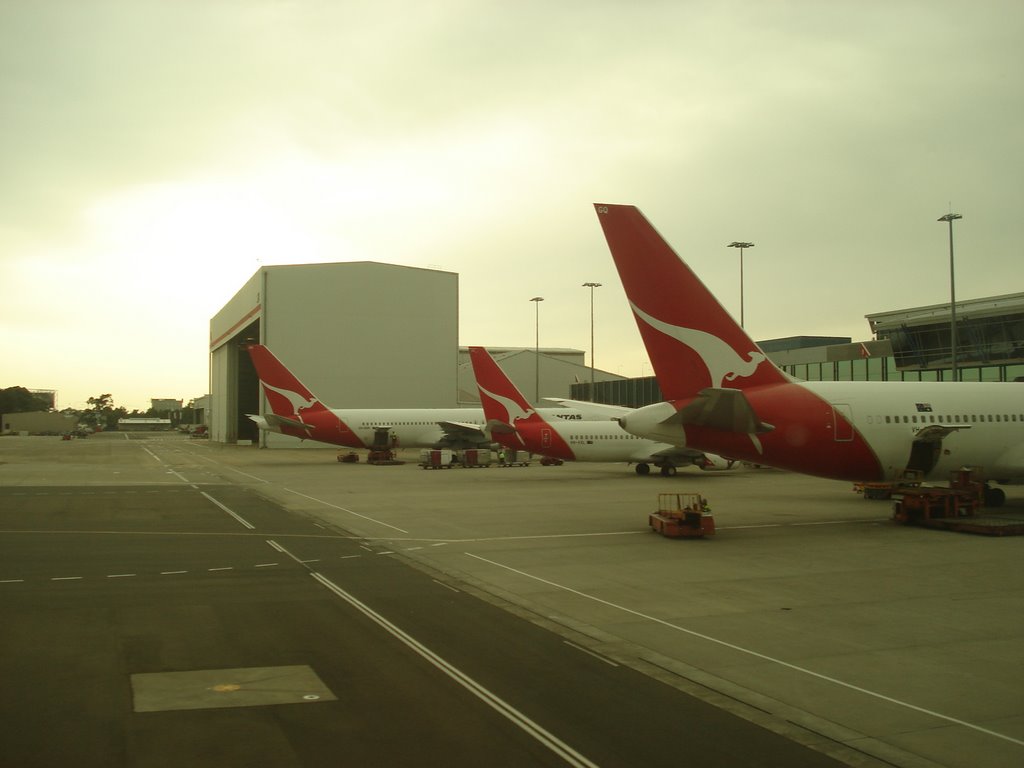 Qantas line up by Grub