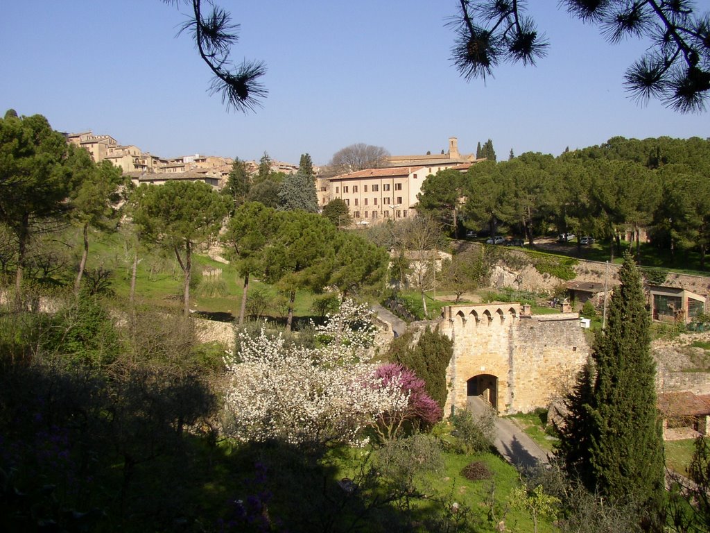 SANGIMIGNANO- Porta alle Fonti by robe&lore