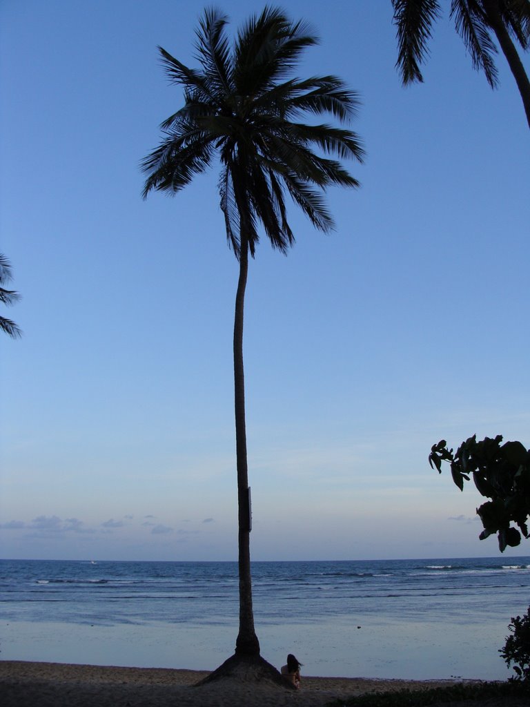 Praia do Forte, Mata de São João - BA, Brazil by bernardo cox