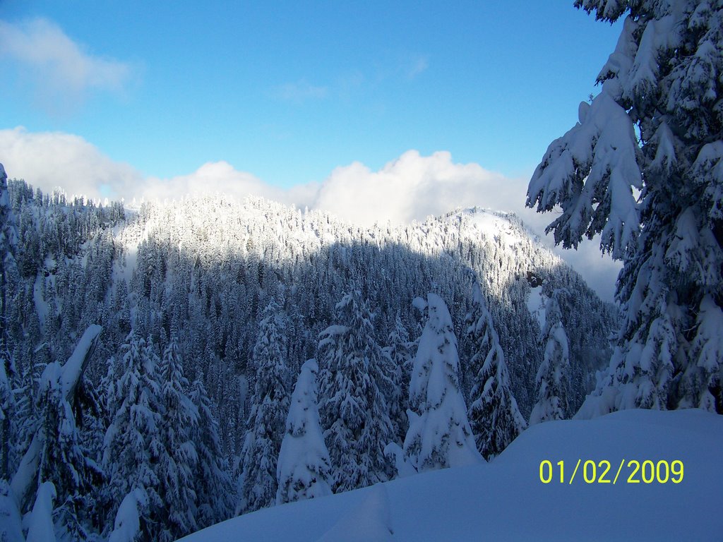 Sunny Window casting on Goat Ridge by Wester