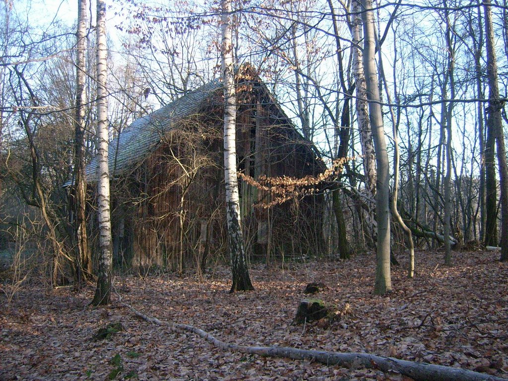 Scheune in der Nähe von Burg Kriebstein by schmidt-tabe