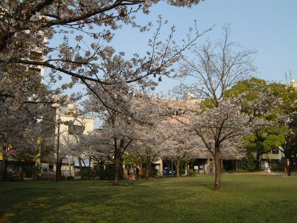 長崎　桜町公園 by Urk Urk