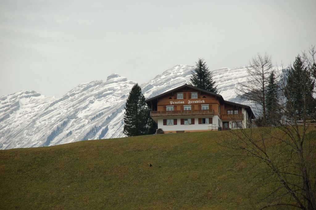 View from "der Diedamskopf" by Steffie Franken