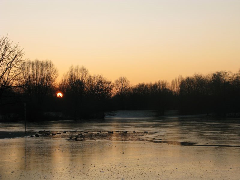 Ostpark Sunset by owl chan