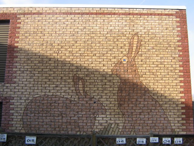 The rabbits on the wall by Robert'sGoogleEarthPictures