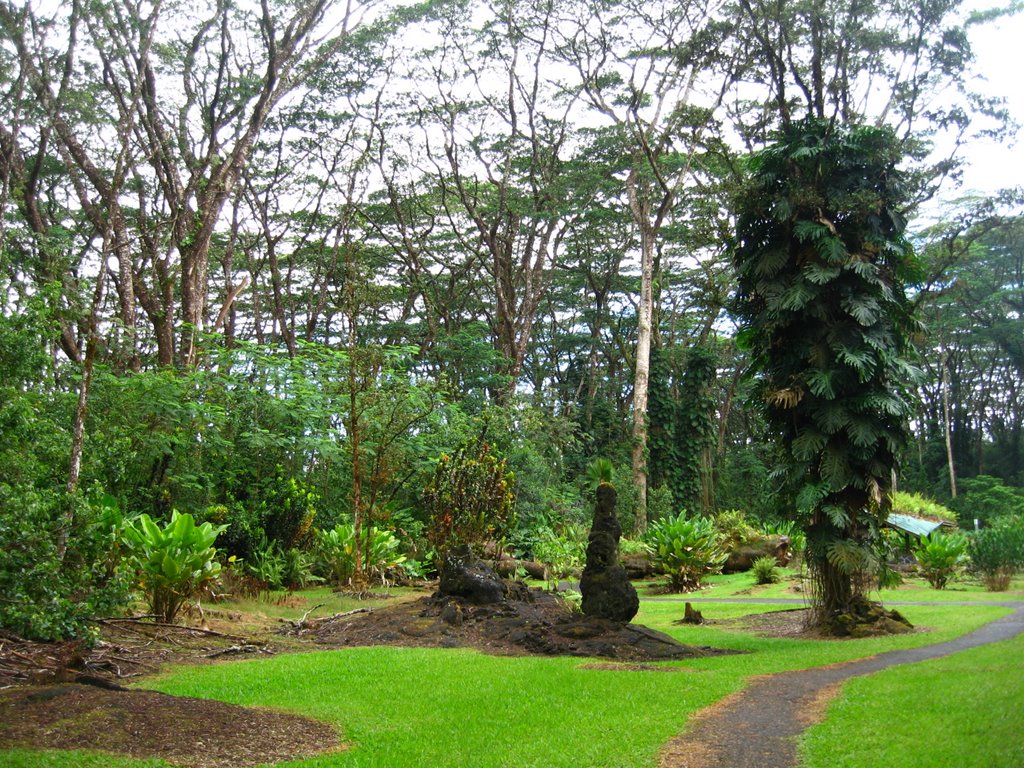 Lava Tree State Park by AZDesertFlower