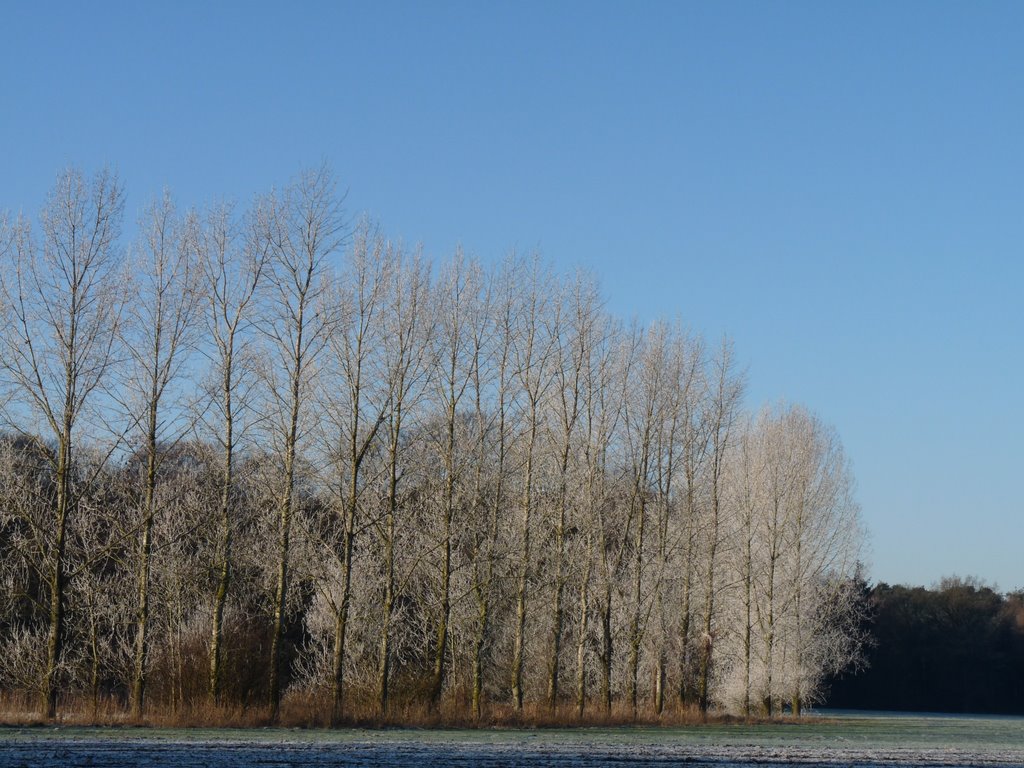 Winterlandschaft bei Gut Lage by Hedwig Bäuning