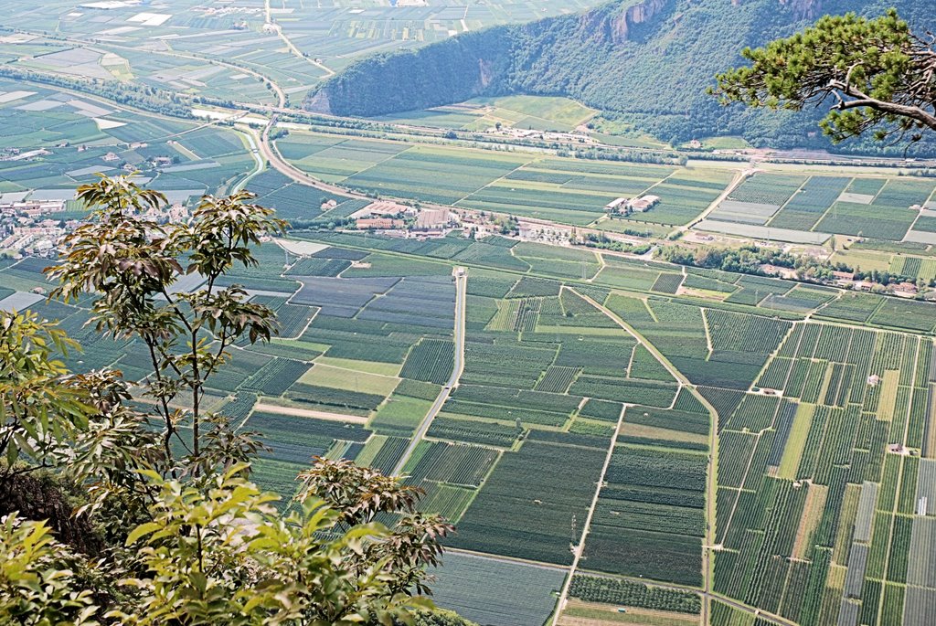 La valle dell'Adige by G.Izzi