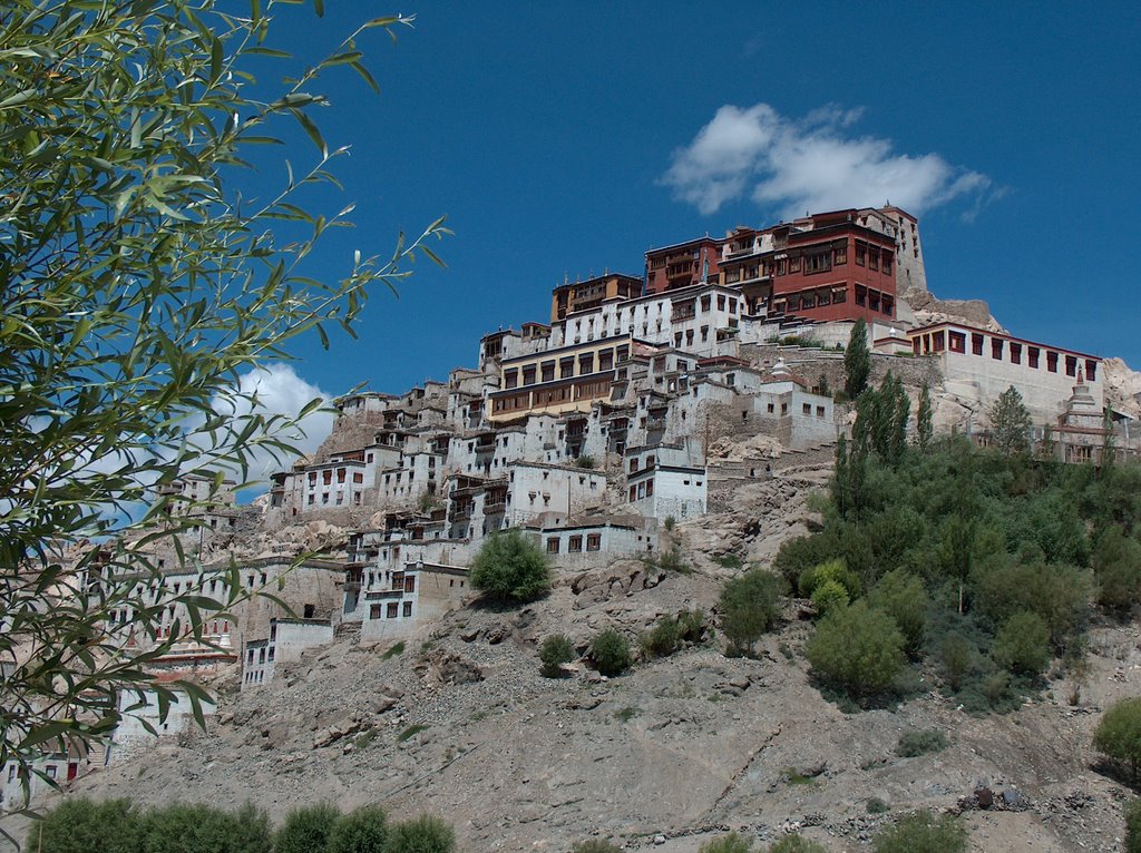 Thikse Gompa, monastère du 14è s. by ClaireYann44