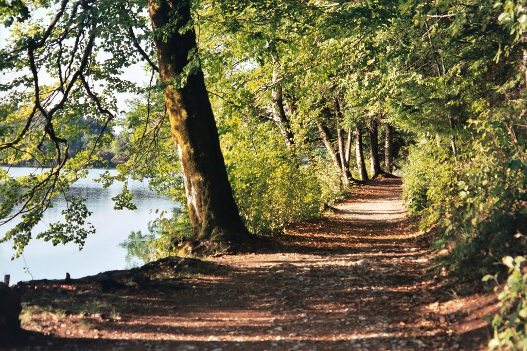 Sur les rives du Lac de Bonlieu. Jura by voyageurdumonde