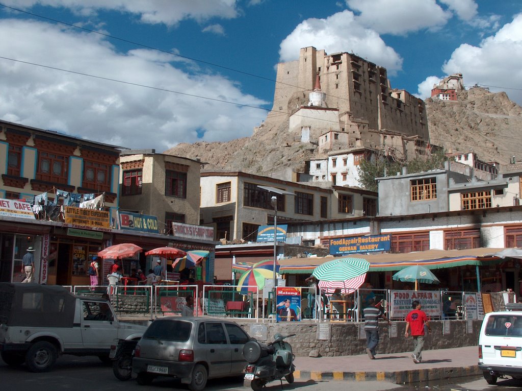 Leh, palais royal et Tsemo Gompa by ClaireYann44