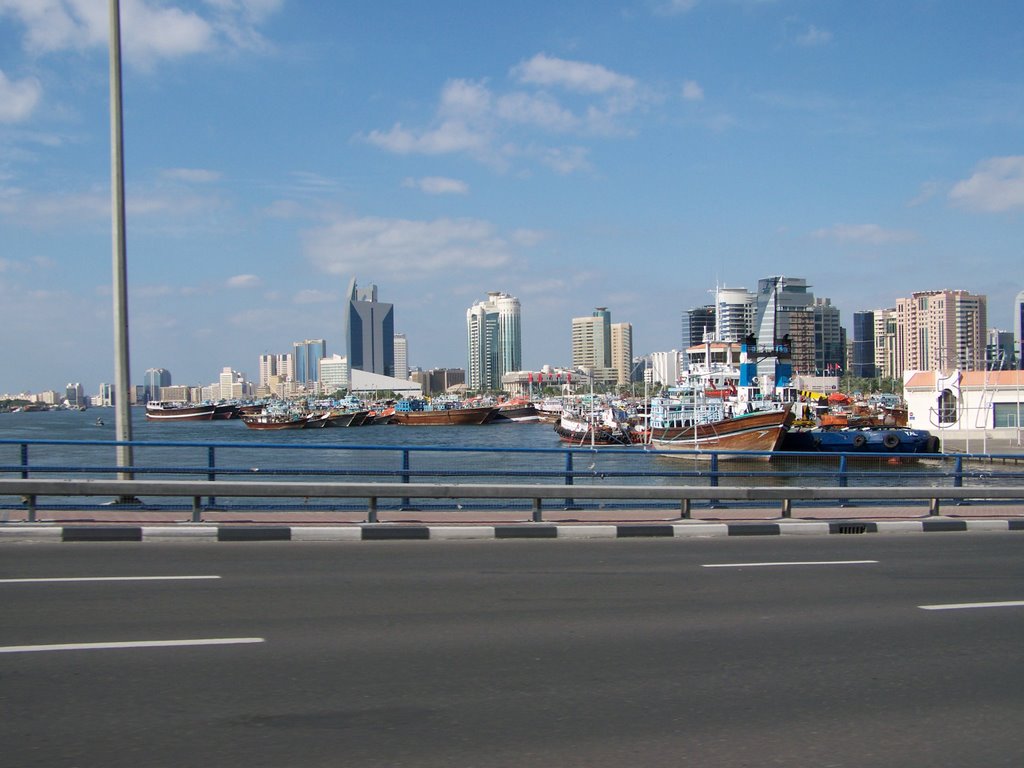 Al Maktoum Bridge by Fardin Madani