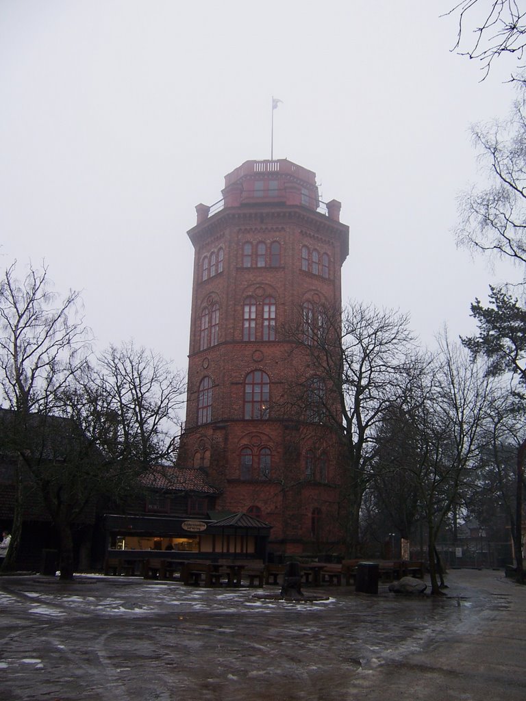 Djurgården, Östermalm, Stockholm, Sweden by giulio fecchio