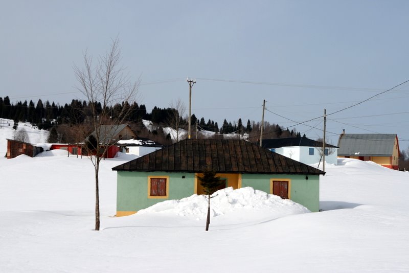 61300 Kuruçam/Akçaabat/Trabzon, Turkey by akcair