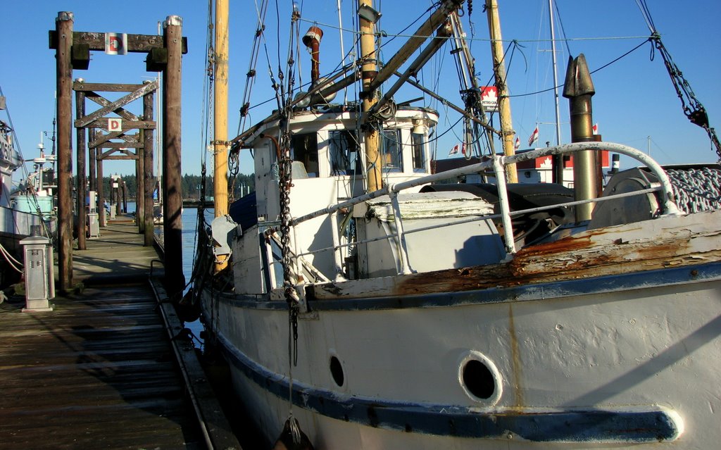 Nanaimo harbour by Wilf Ratzburg