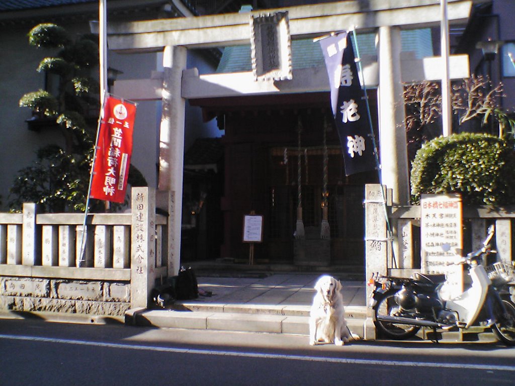 Kasama Inari Shinto Shrine Tokyo Branch by qtjittan00