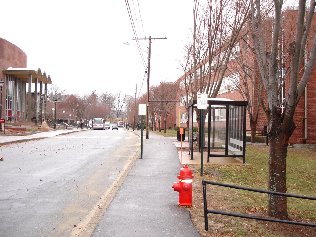 Kelly Gymnasium Bus Stop by ethan heilman