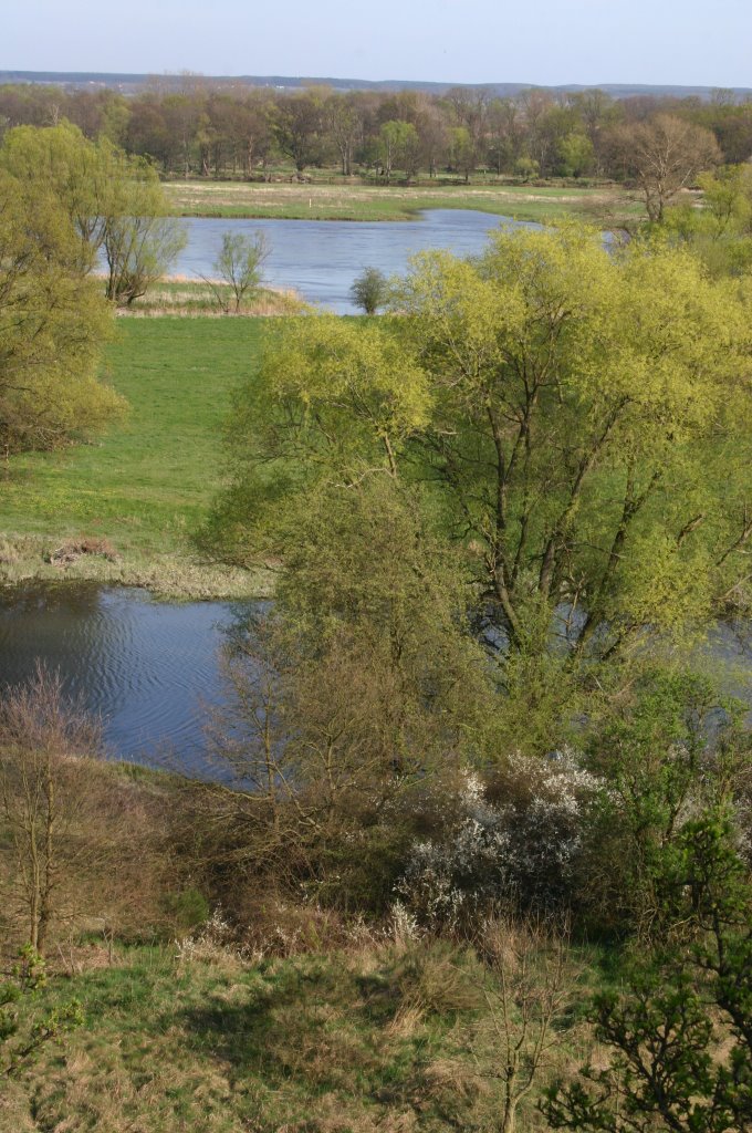 Odra valley near Lebus by pawpawla