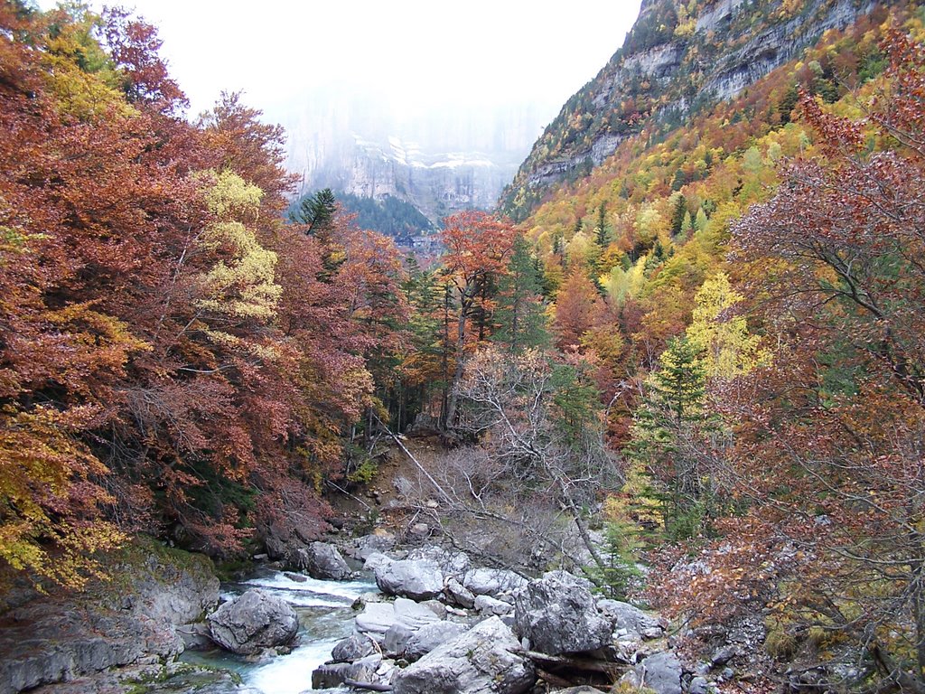 VALLE DE ORDESA by ANGEL LUENGO