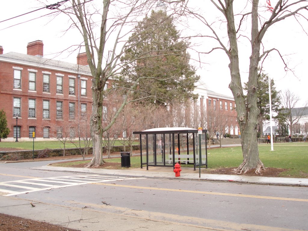 Boyden Hall Bus Stop by ethan heilman