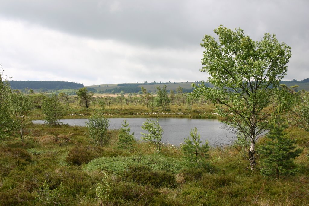 Schwarzes Moor/Hochrhön by erlaba40