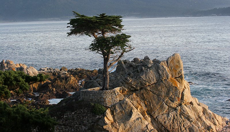 Cypress point, Monterey, California, USA by isogood