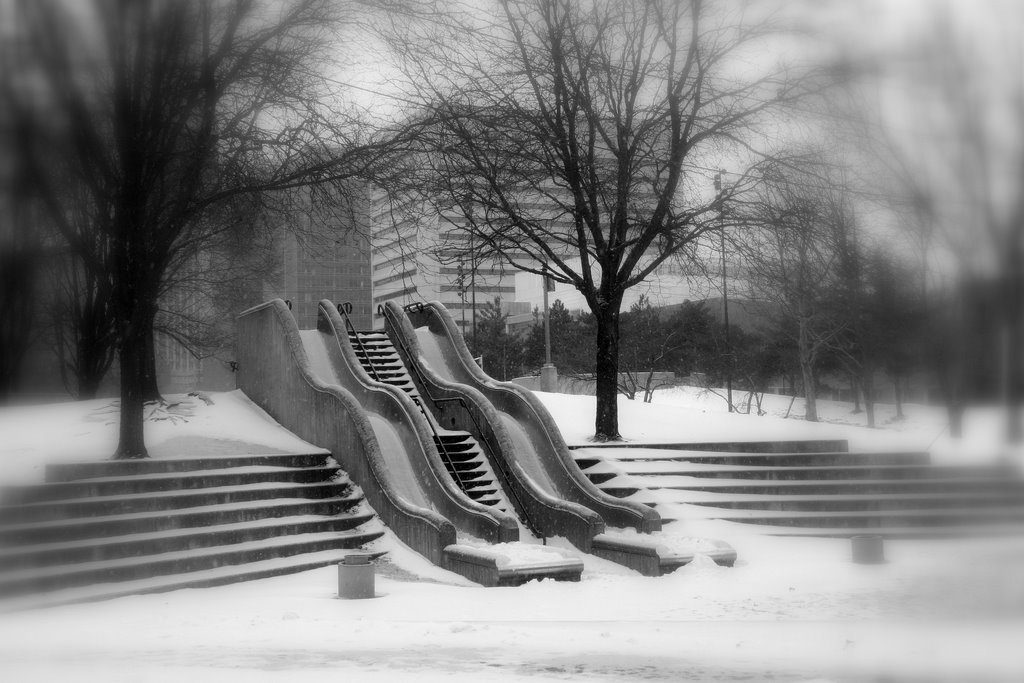 Snow Slide by cookfoto