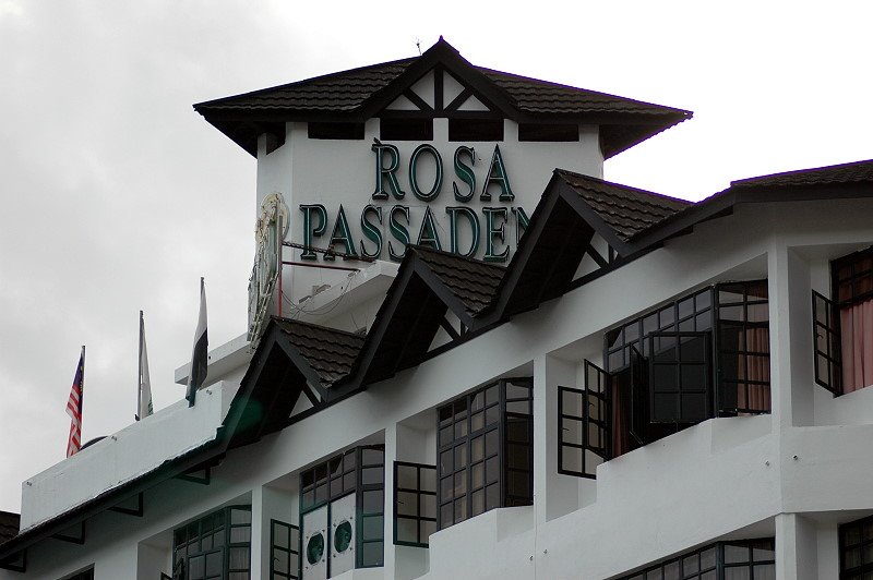 Rosa Pasedena - Brinchang Cameron Highlands by AZRA©