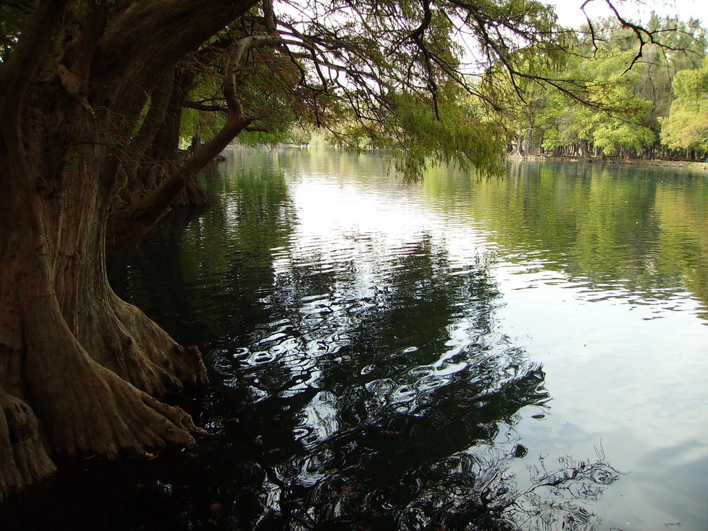 Lago de Camécuaro by sossa