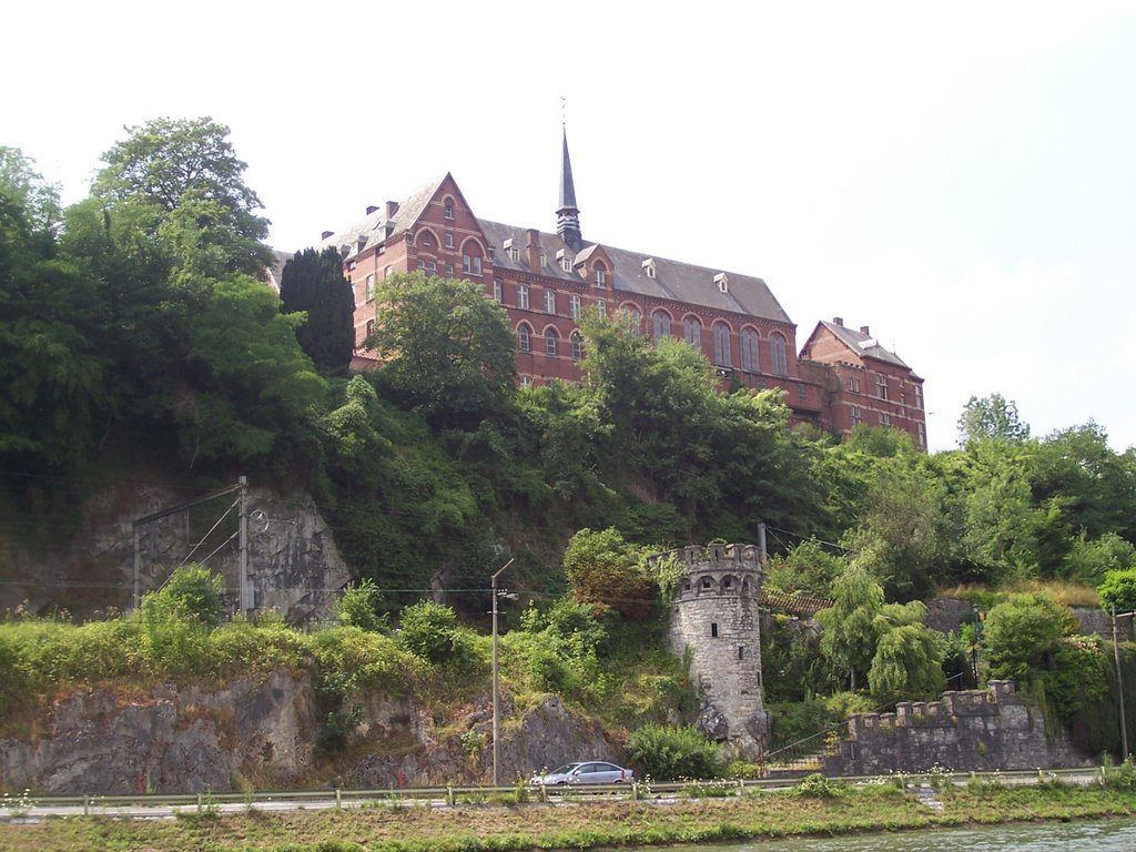 (BRU) Vistas desde el rio - Dinant 21 by brujita9