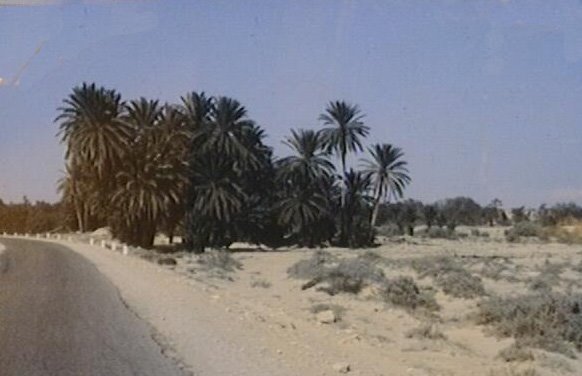 Tunisie - route près de Sfax by Carré