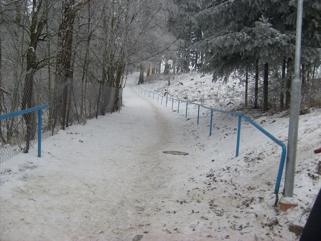 Cesta ke střední škole- Way to the high school by Tymerudzu