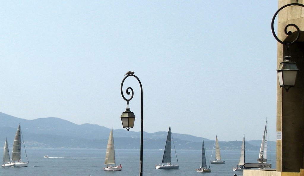 Roucouler sur la mer berçant by Umberto Vettori