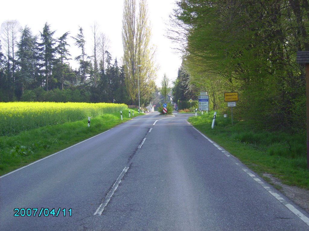 Steinbach im Taunus.Frühlingsgefühle by korsika-mann