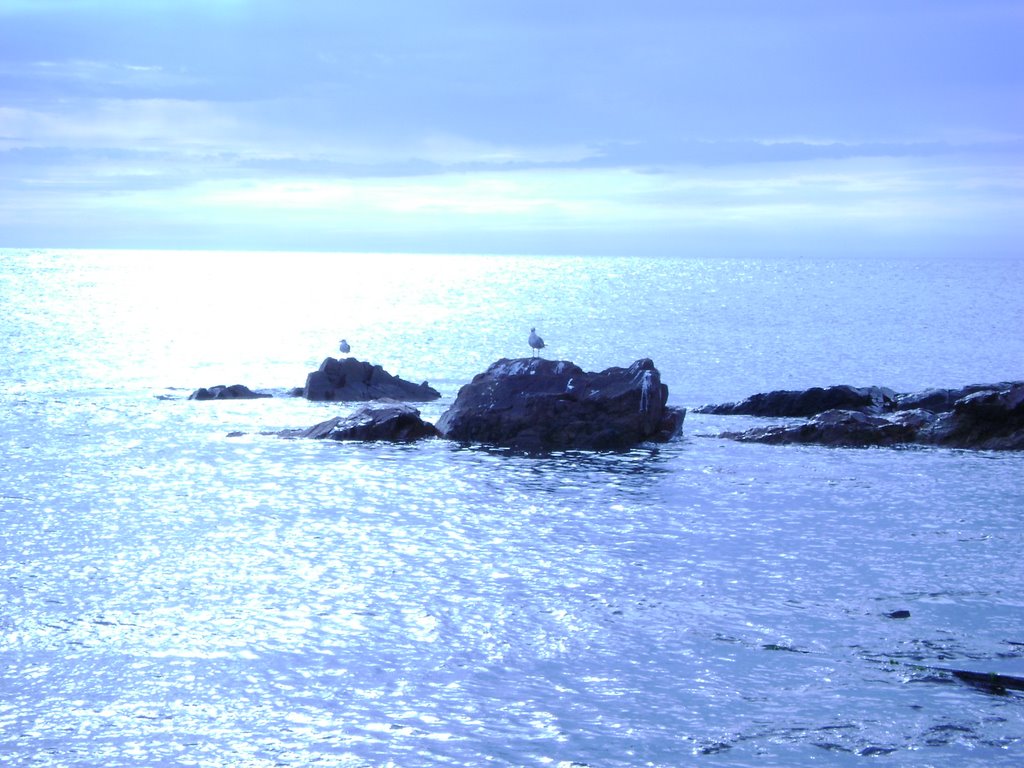 VISTA DESDE EL DESEMBARCADERO DE PUNTA COLORADA by dasumo