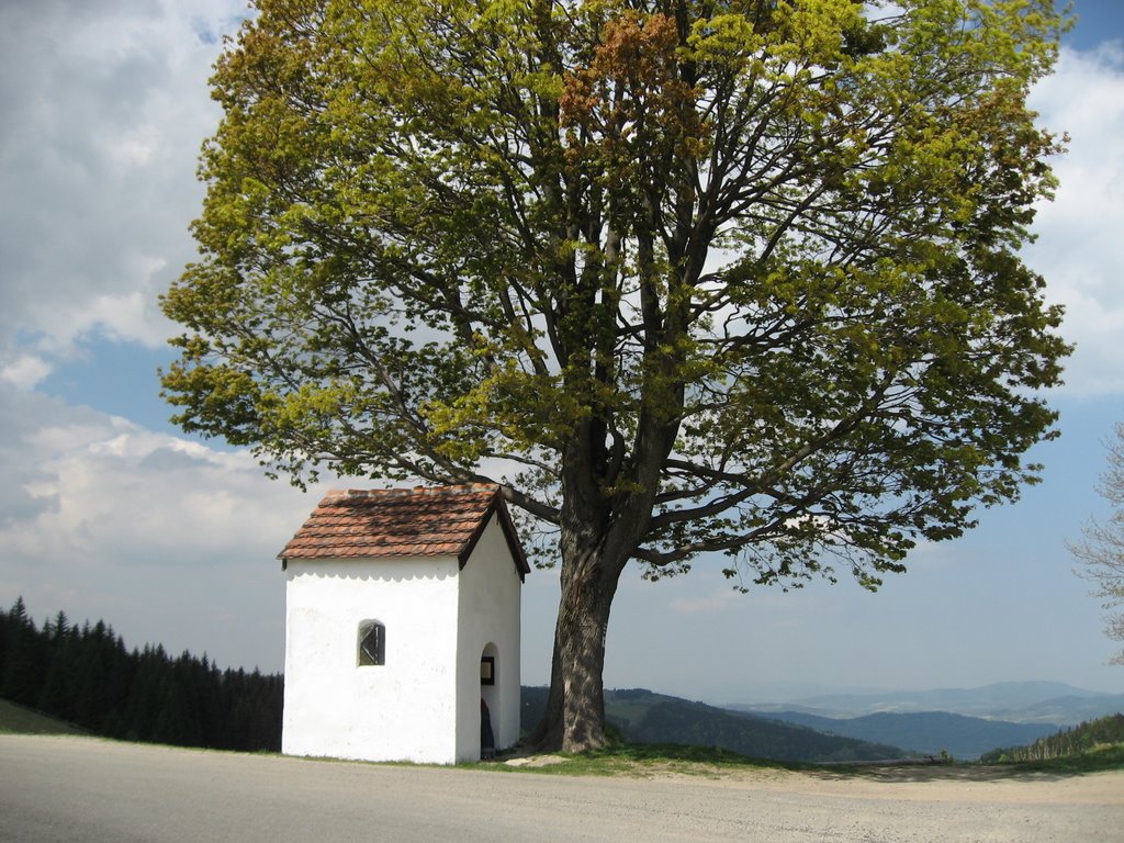 Przełęcz Puchaczówka by Doti.Ol pl