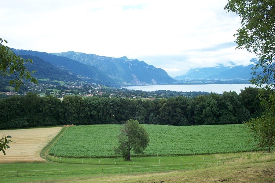 Lago di Ginevra by © daks70