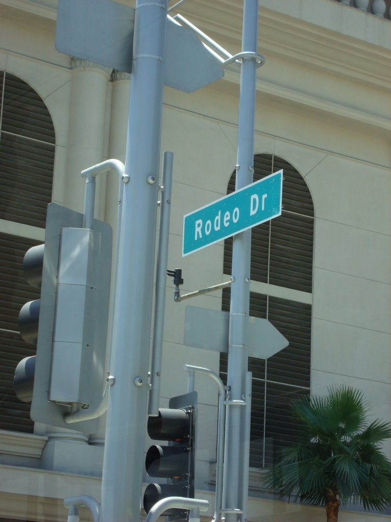 Rodeo Drive by sgomide