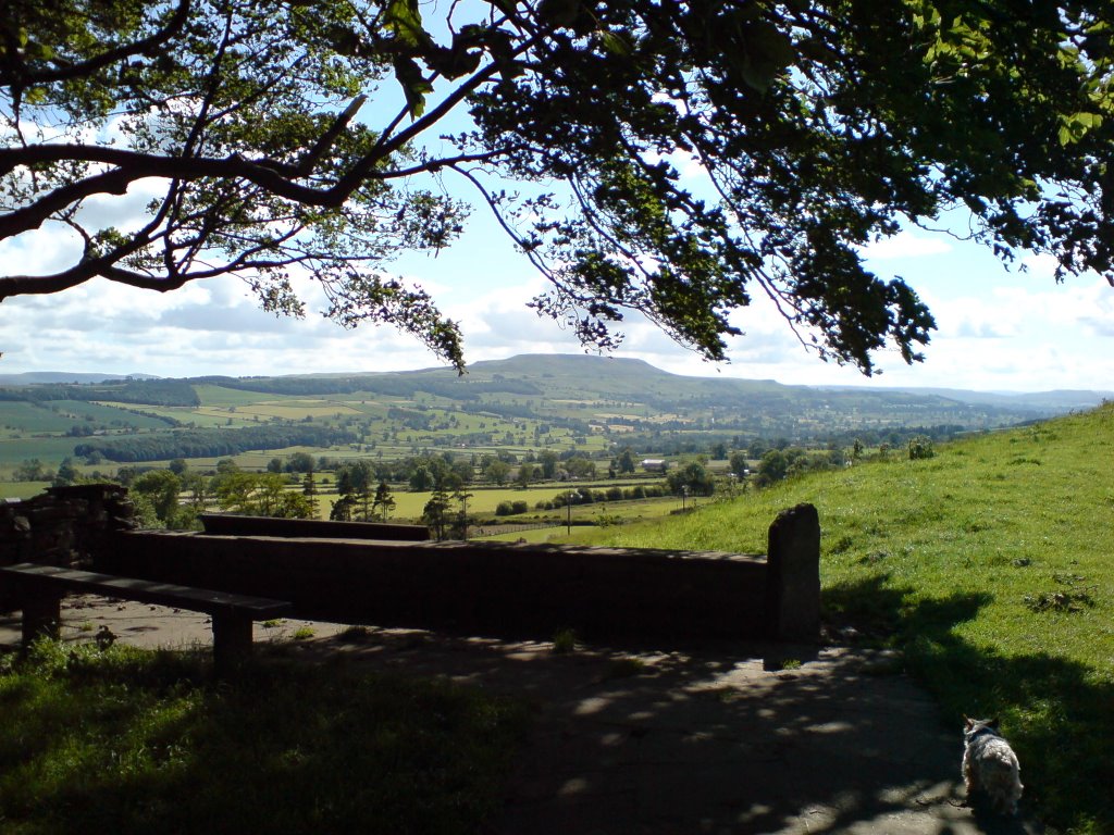 Penn Hill from the Shawl by john-wbt1