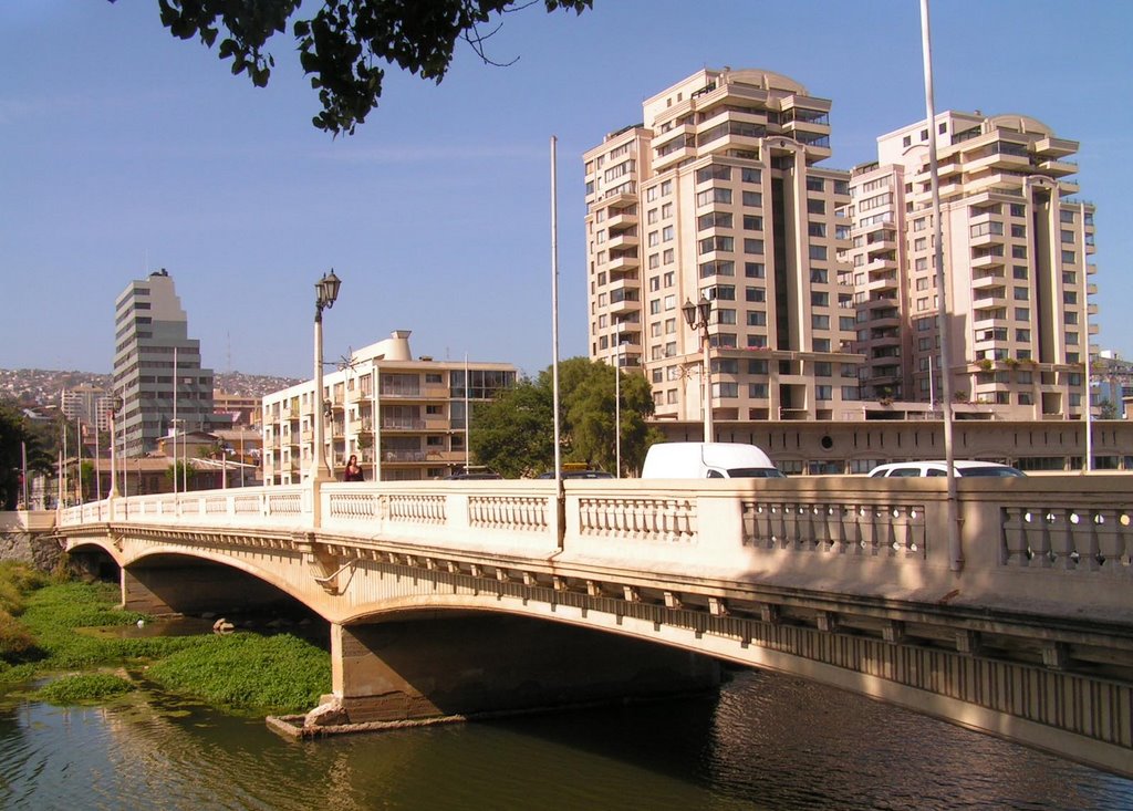 Puente sobre el estero by PedroBoris