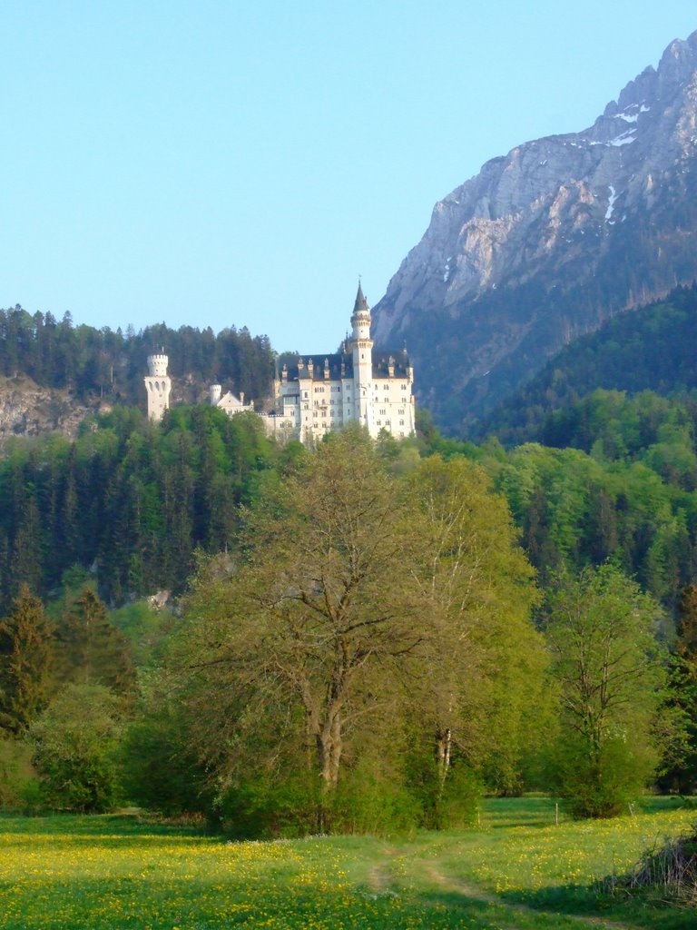 Neuschwanstein & Bavarian Alps by Chouden Boy