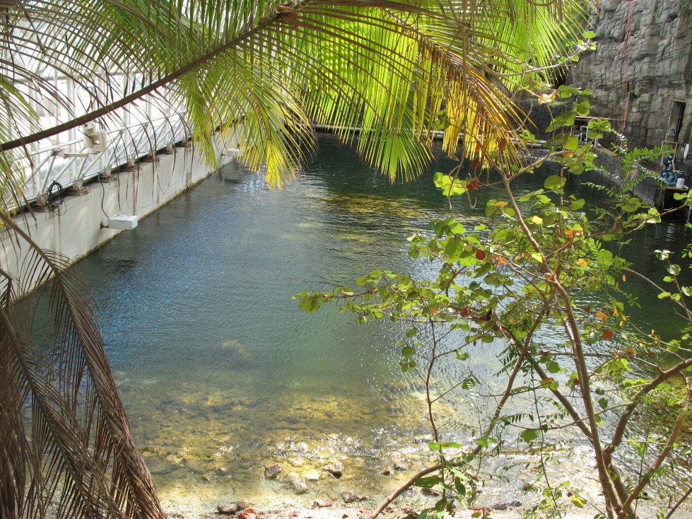 Biosphere 2 Ocean by asme!