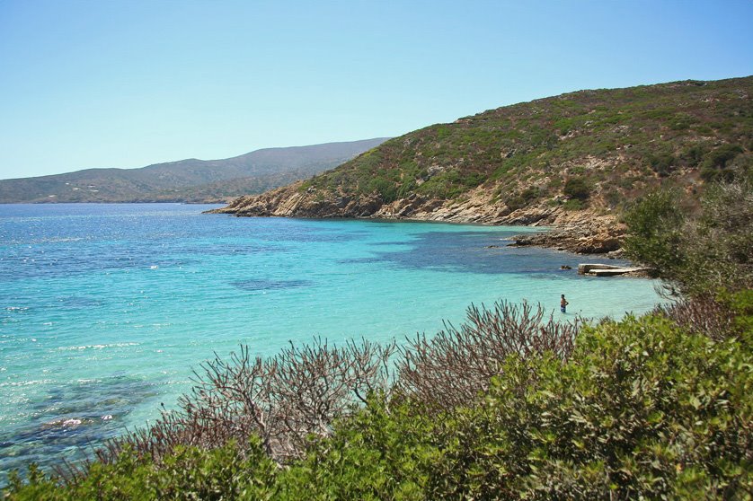 Summer on a solitary beach (Cala Sabina, Asinara) by Enrico Albanesi