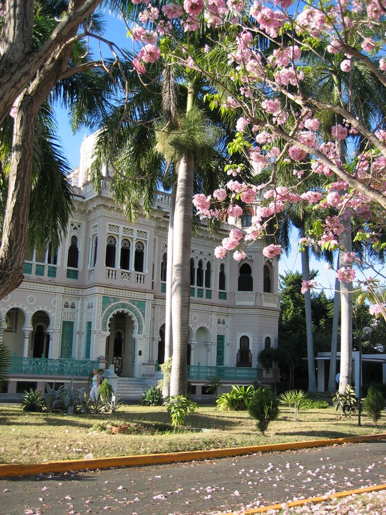 Cienfuegos by Prebsi