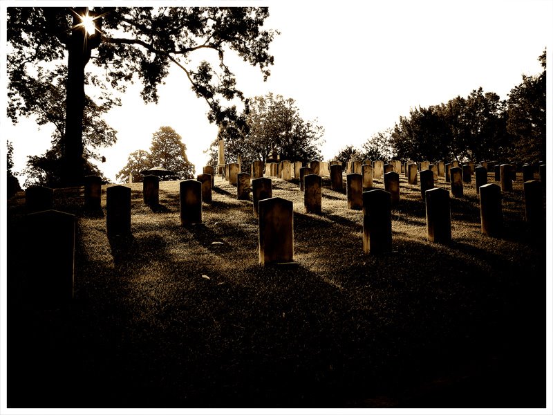 Confederate Graves by ioanandrew