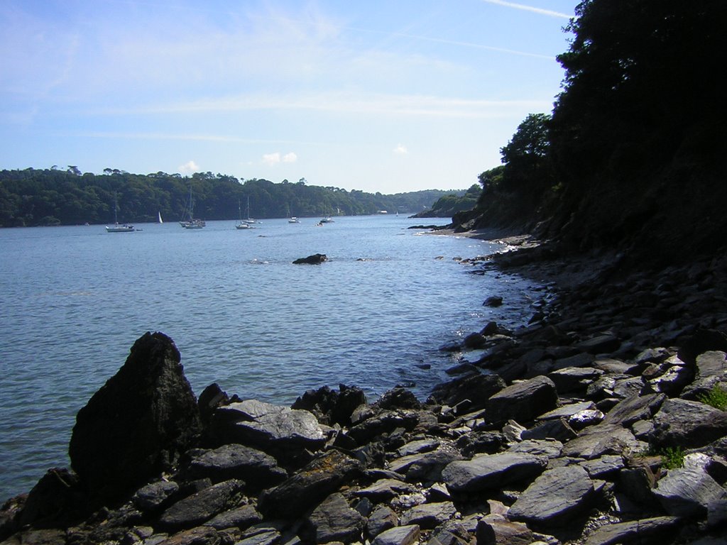 River outside Glendurgan by Matthijs1990