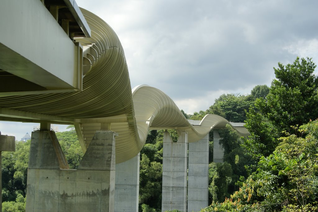 Henderson Waves by Jakob Varming