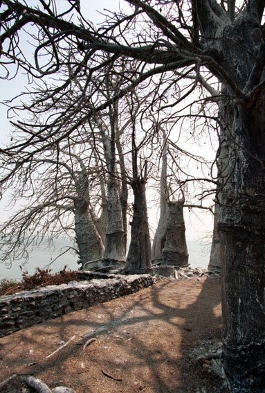 Fort James Gambia river by Jan sibon