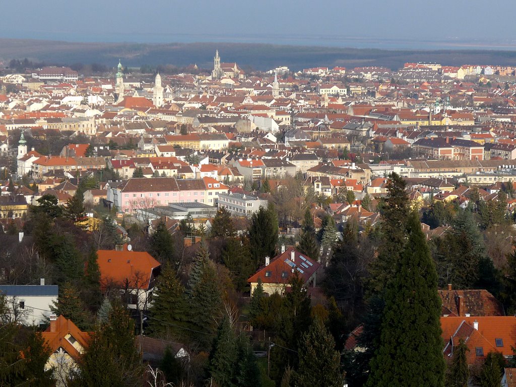 Sopron a kilátóból by bp1885