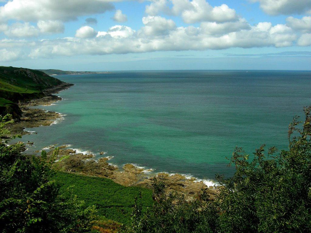 Tropical colours in the English Channel by Lucia Marazzi